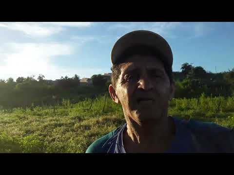 Especial de José Nario Mostrando a nossa Vila Umari Santa Felicia Acopiara Ceará