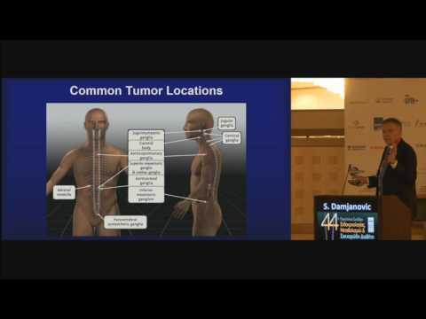 Damjanovic Svetozar - Pheochromocytoma and paraganglioma Diagnosis, genetics and management