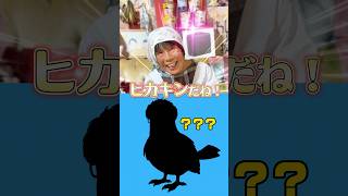 【超難問】ヒカキン大好きおばあちゃんがポケモン当てクイズ挑戦したら難しすぎたwww