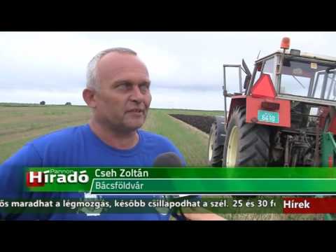 Híradó - 2016.08.06. 17:30h