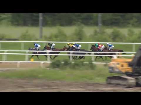 2017.06.27 Arabhästlöpning (SWE) - Sha'hir