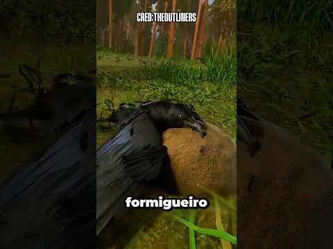 PORQUÊ OS CORVOS SE DEITAM EM FORMIGUEIROS?🤯