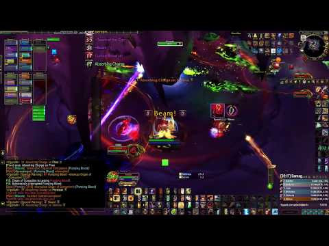 Ny'alotha, the Waking City 10 - Mythic Il'gynoth, Corruption Reborn - Ret Paladin Pov