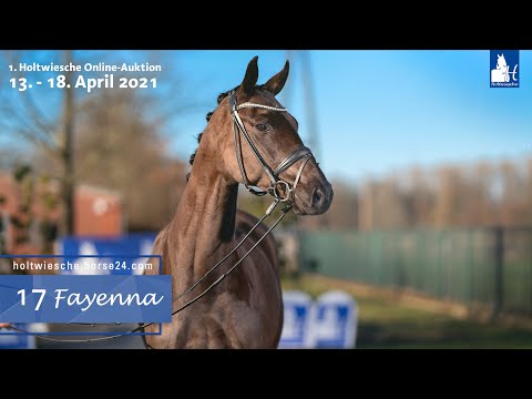 Online-Auktion 13.  - 18. April 2021 Lot 17 Fayenna Stute v. Fürstenball -  Scolari