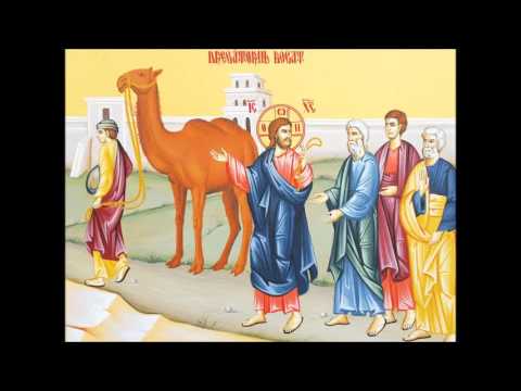 Arhid. Ioan Ică Jr. - Cuvânt la Evanghelia Dregătorului bogat - 29.11.2015