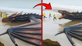 Criaturas míticas que foram realmente capturadas por câmeras