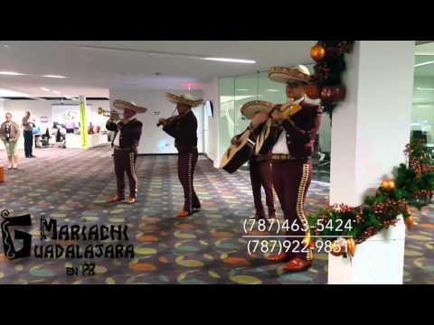 Mariachi Guadalajara en PR- Puerto Rico El son de la negra