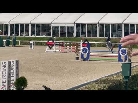 Hoover De Hus (Cornet Obolensky x Diamant De Semilly)