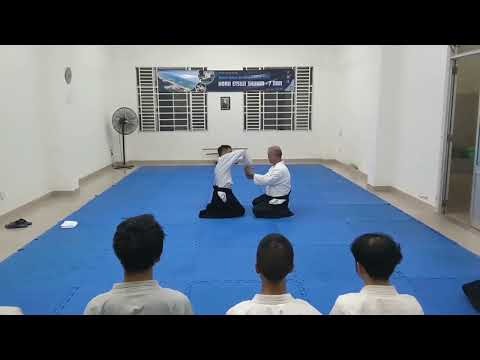 [Horii Etsuji Shihan] Zagi Shomen-uchi Sankyo