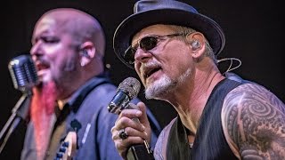 Little Caesar - Chain Of Fools - live @ Albatros Bordesholm