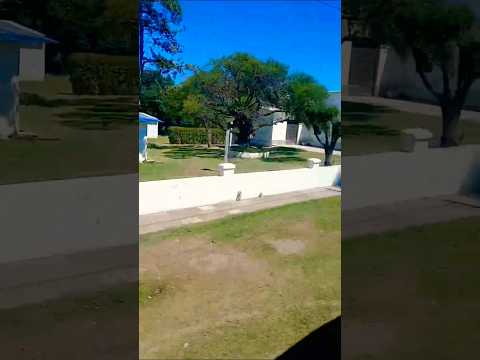 Maravillosa AMBUL, San Alberto, Pocho, Córdoba, Argentina #ambul