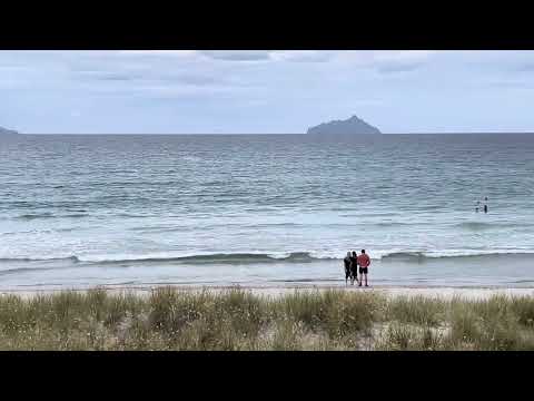 Ruakaka beach 🏖️ Whangarei, New Zealand 🇳🇿