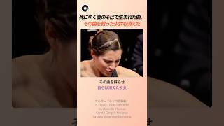 Download lagu 死にゆく妻のそばで生まれた曲、その曲を救った少女も消えた 🎻 | エルガー チェロ協奏曲 ジャクリーヌ・デュ・プレ クラシック 名曲秘話 mp3