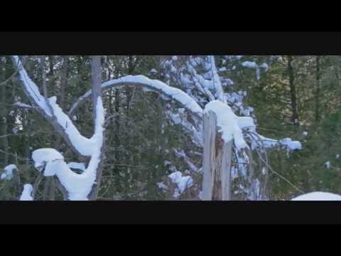 drew the architect – you are missing the point w/ bones