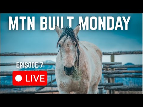 Introducing Our New WILD MUSTANG (Live!)