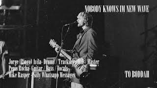 Nirvana - Nobody Knows I&#39;m New Wave ** Studio Version ** (Cover by To Boddah)