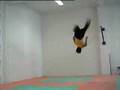 Kata Capoeira