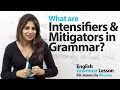 Intensifiers and Mitigators - English Grammar lesson ...