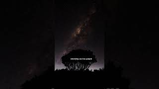 Download lagu 'Anggap Sa Apa | Story Wa 30 Detik ✨ mp3 Download lagu 'Anggap Sa Apa | Story Wa 30 Detik ✨ mp3