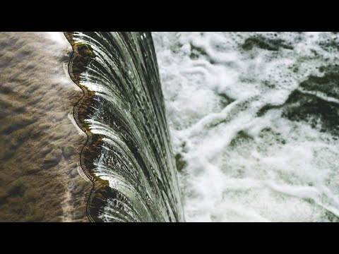 अगर भाखड़ा डैम टुट जाए तो क्या होगा?? || What will happen if Bhakra - Nangal dam breaks? in hindi Video