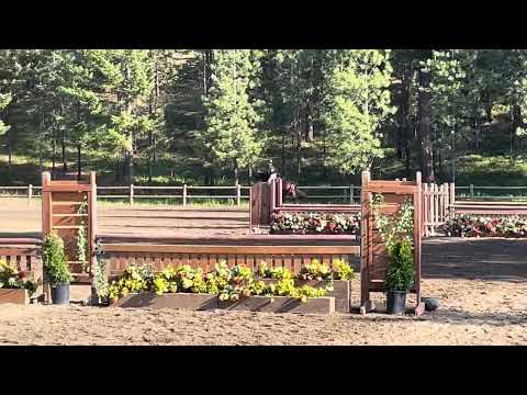 Correct derby video Leo and Bella