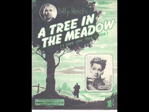 Billy Reid Orch voc Dorothy Squires A Tree In The Meadow 1948