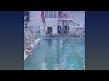 Spring of 2021 diving 