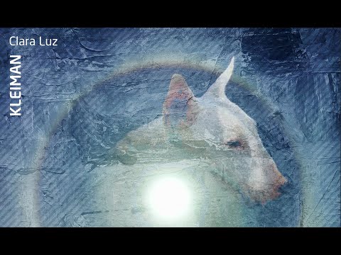 Kleiman - Infinite Potentiality (Quantaloop Remix)