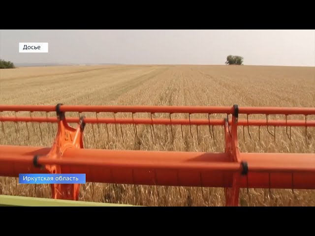 В Правительстве Иркутской области обсуждают вопросы развития местного агропромышленного комплекса