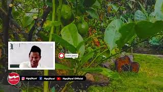 Download lagu Ngaji Gus Baha Tips Berumah Tangga Agar Bahagia Dunia Akhirat ! Moment Akhir Ramadhan mp3 Download lagu Ngaji Gus Baha Tips Berumah Tangga Agar Bahagia Dunia Akhirat ! Moment Akhir Ramadhan mp3