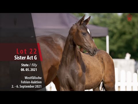 Fohlen-Auktion Lot 22 Sister Act G Stute v. Selectric - Danny Wilde