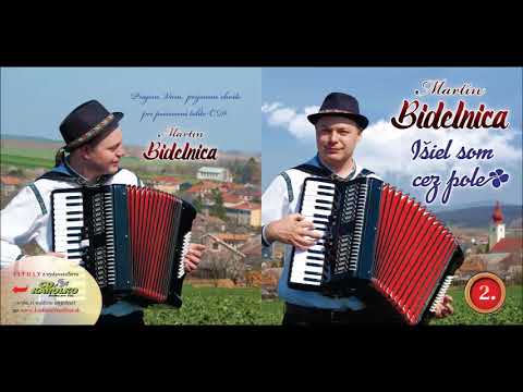 Martin BIDELNICA - Lístoček z javora