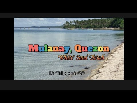 Not Available 💥Mulanay, Quezon White Sand Beach LOT / FREE TITLING‼️ LOT SURVEY ‼️ DEED OF SALE‼️.