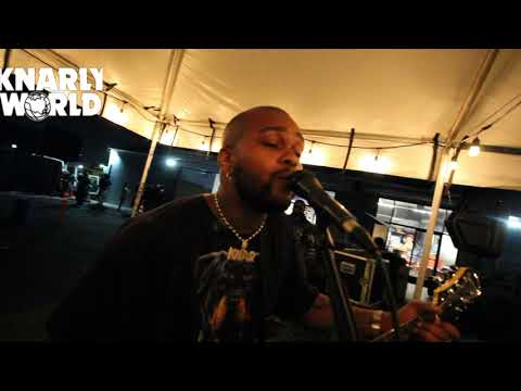 Knarly World (Live at Wingwalker Brewing)