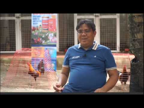 BACOLOD EAGLE GAMEFARM