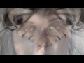 Skin of the night by M83