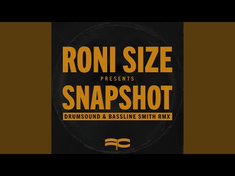 Snapshot - Drumsound & Bassline Smith Remix