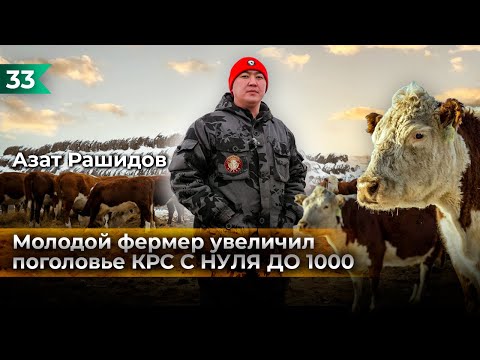 Ферма