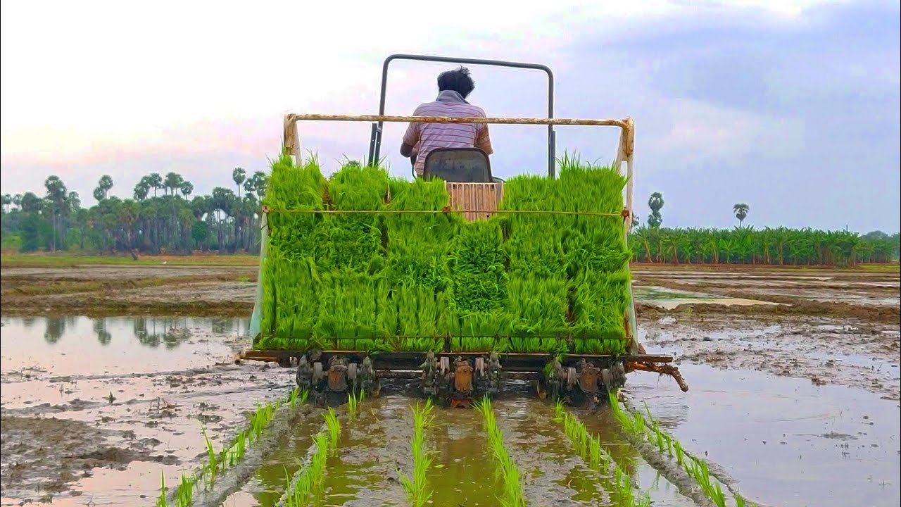 Watch video Kubota Rice Transplanter Spv - 6md Performance | Full Features and Specifications Now Kubota Rice Transplanter Spv - 6md Performance | Full Features and Specifications