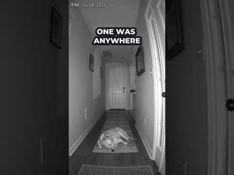 Echter Geist greift Haus an, Hund versucht ihn aufzuhalten – auf Video festgehalten