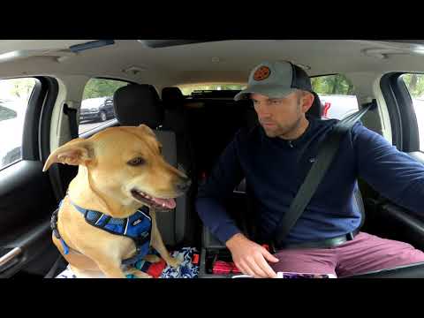 Sandy River Delta Park in the Columbia River Gorge National Scenic Area