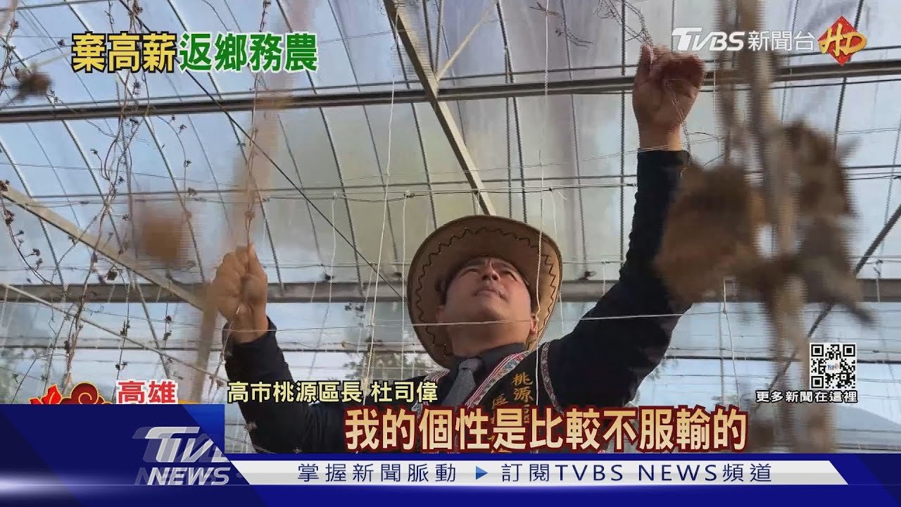 放棄矽谷高薪工作！　年輕「型農」返鄉桃源當區長