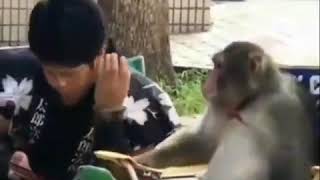 Download lagu Story wa Lucu banget mp3