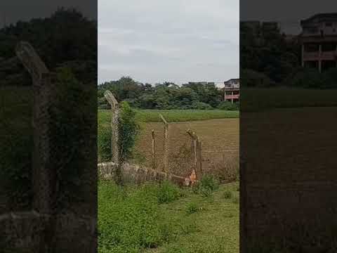 "Monte Mor-SP Um Lugar Onde Existe Sossego"