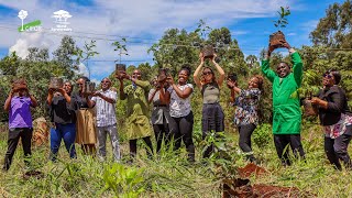 Indigenous Tree Day 2025