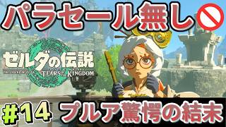 【ティアキン】パラセール禁止 (14) 旅の結末、プルアは何を話す？【Tears of the Kingdom】