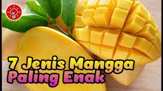 Download lagu 7 Jenis Mangga Paling Enak di Indonesia, Rasa Manisnya Manjakan Lidah mp3