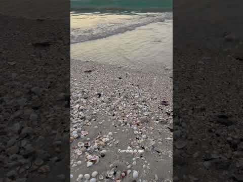 Kite beach dubai #jumeirah #kitebeach #sumbalkayani #sumbal