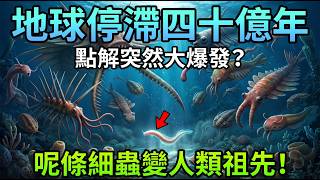 地球中過大Bug？停機四十億年後突然瘋狂進化！我哋嘅祖先竟然係咁樣衰… #寒武紀大爆發 #人類祖先 #生命演化 #地球歷史 #廣東話科普 #古生物 #未解之謎