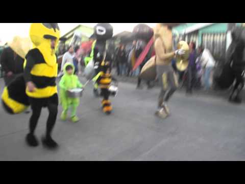 Murgas cerro david fuentes 2013